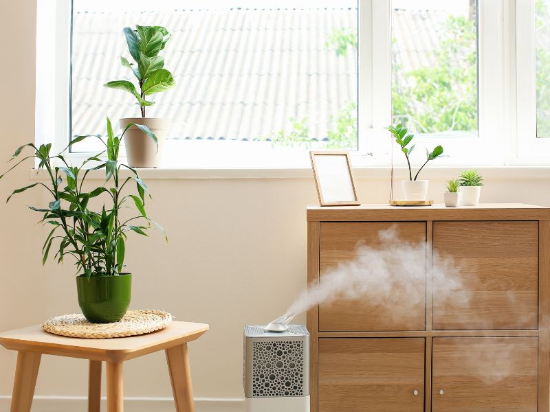 umidificar o ar da sua casa