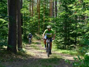 O Peso Invisível Como as Emoções Influenciam o Corpo e o Emagrecimento