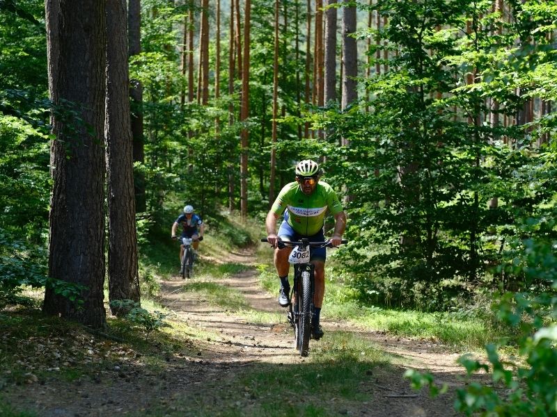 O Peso Invisível Como as Emoções Influenciam o Corpo e o Emagrecimento